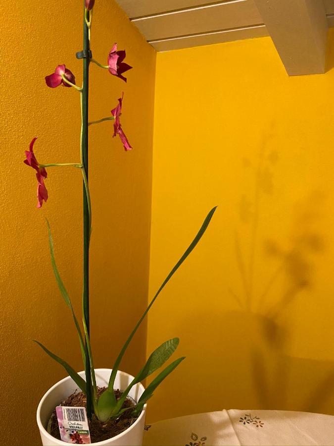 La Casa Di Andrea